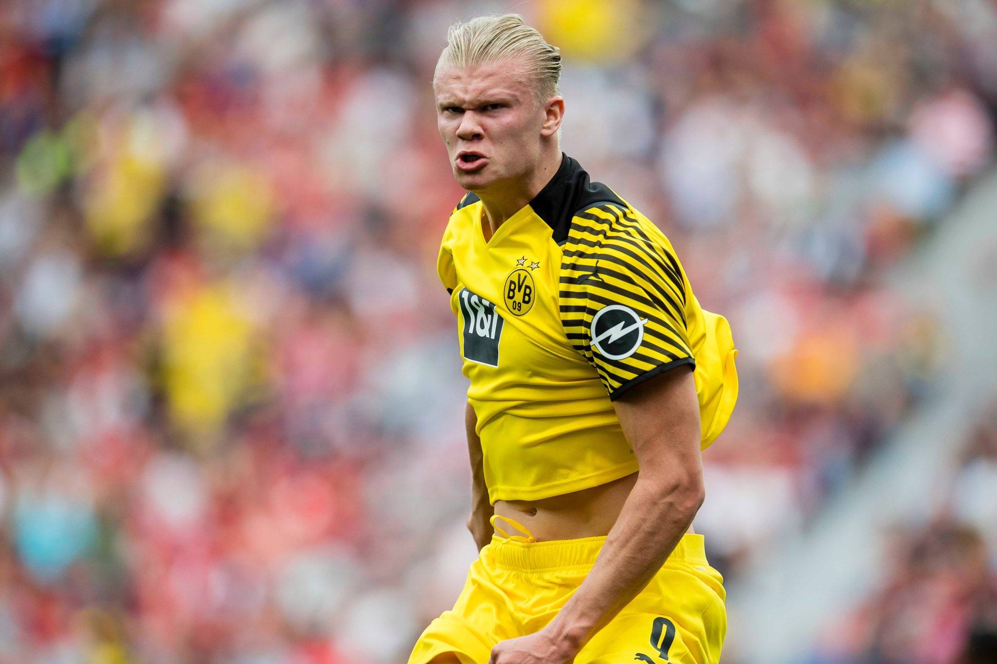 日本队本届 日本队本届