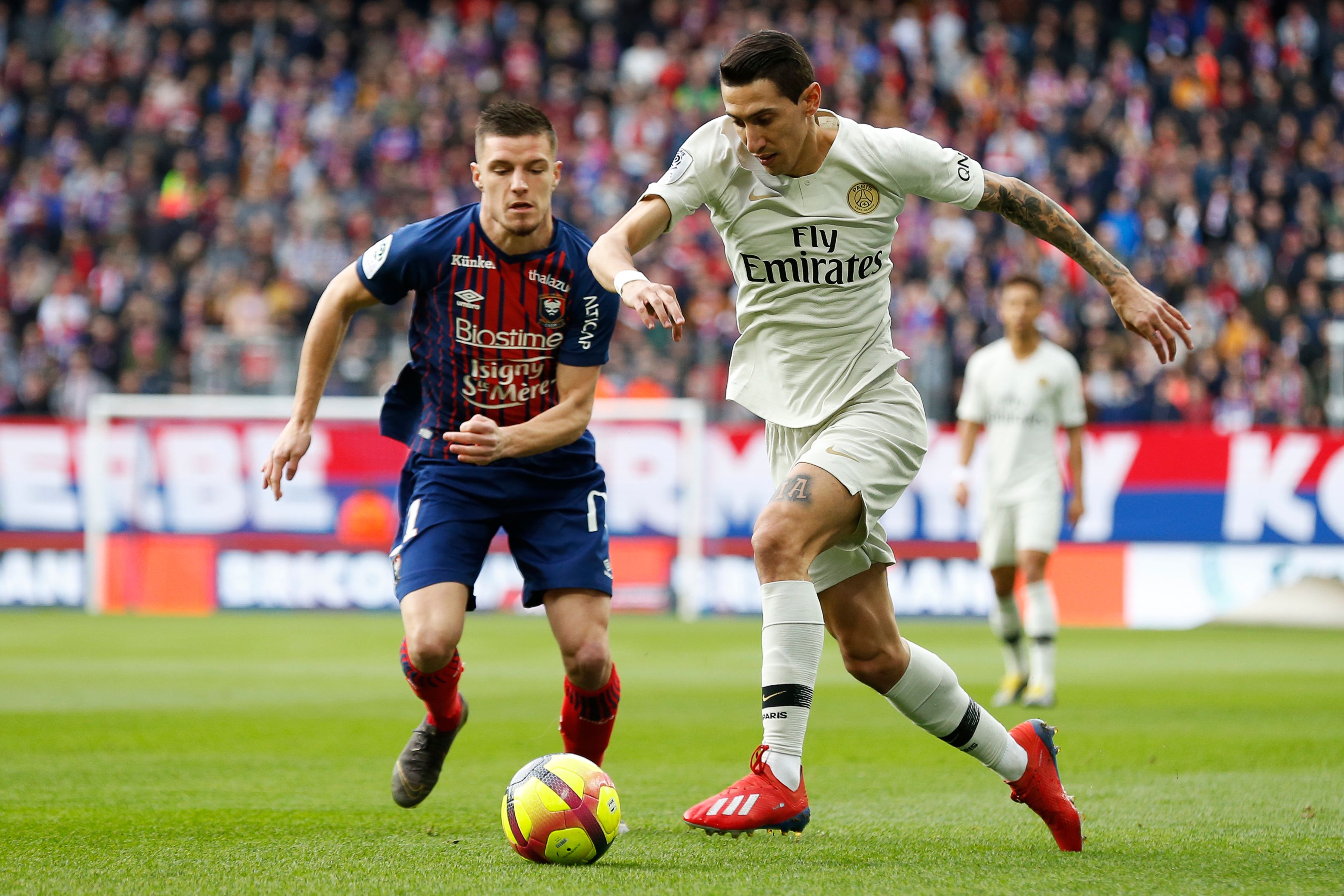 核心质量仍 核心质量仍